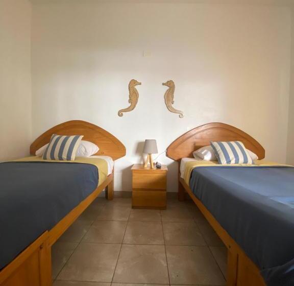 Ravenala Paracas Hostel