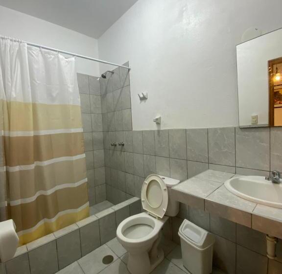 Ravenala Paracas Hostel