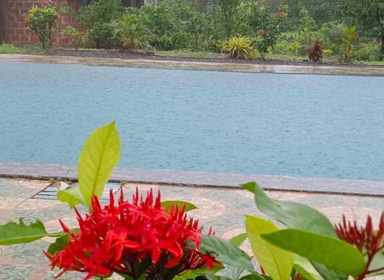 Курорт Mountain View Farm & Camping Pali