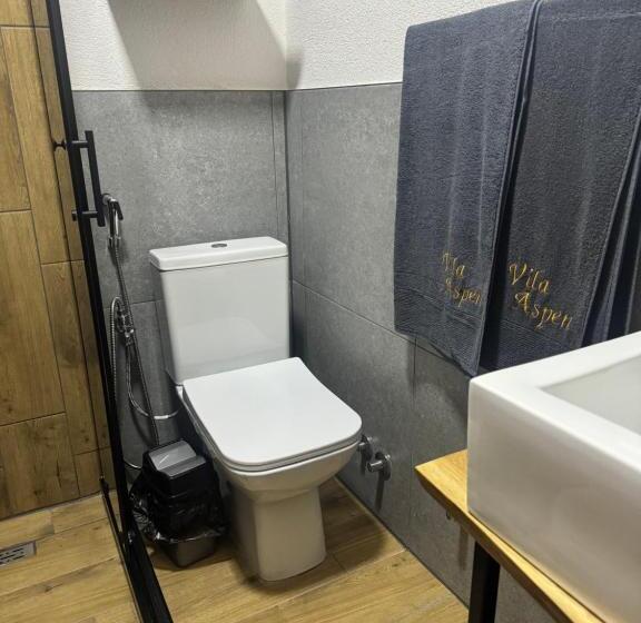 Vila Aspen Mountain View Apartments