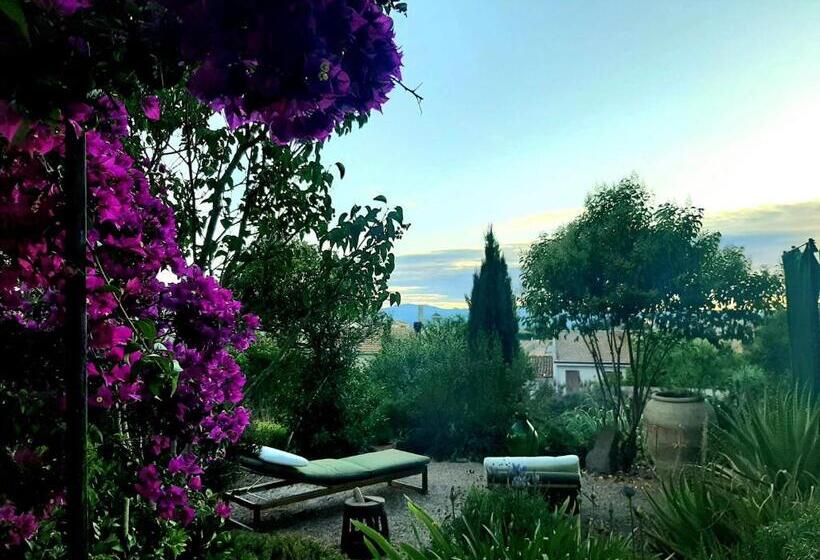 B&b Il Giardino Del Barone