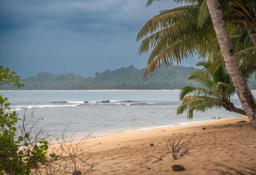 민박 Carve Bay Mentawai