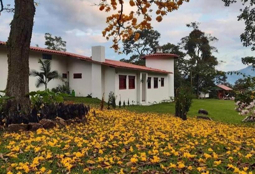 مبيت وإفطار Casa Finca Madrid Mazzitelli