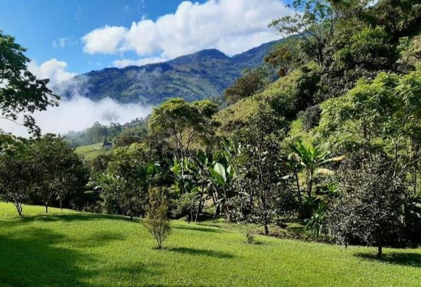 مبيت وإفطار Casa Finca Madrid Mazzitelli