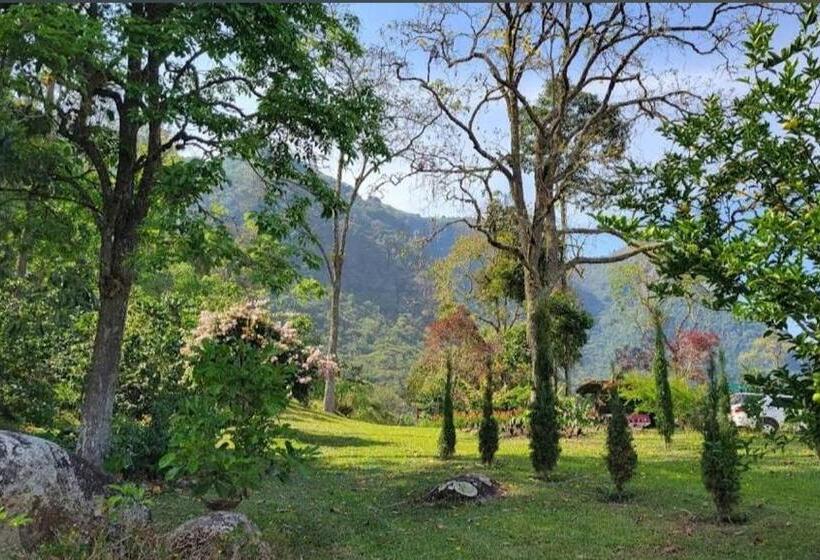 مبيت وإفطار Casa Finca Madrid Mazzitelli