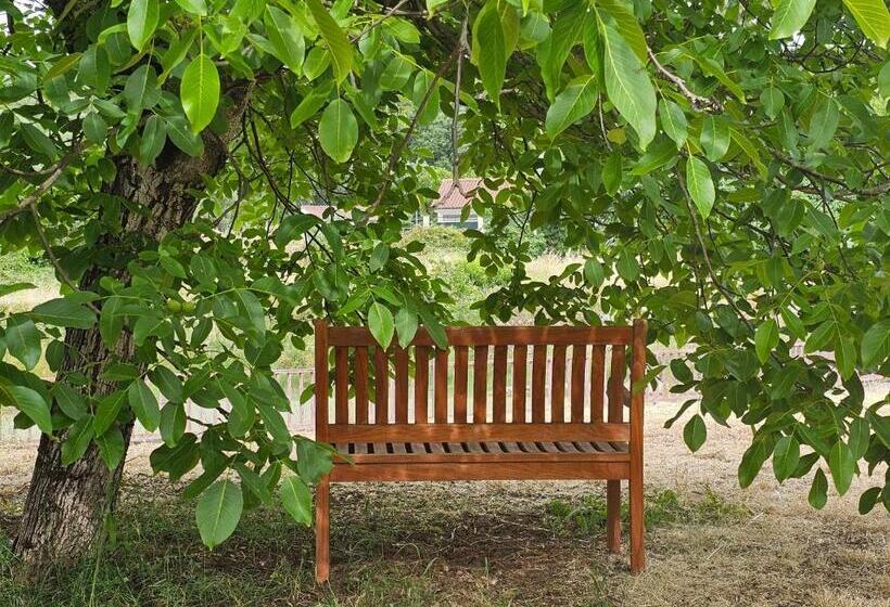 住宿加早餐  Casal Cura   Adults Only