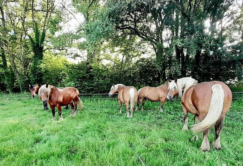 Bed and Breakfast La Roulotte Du Clos De L Isop