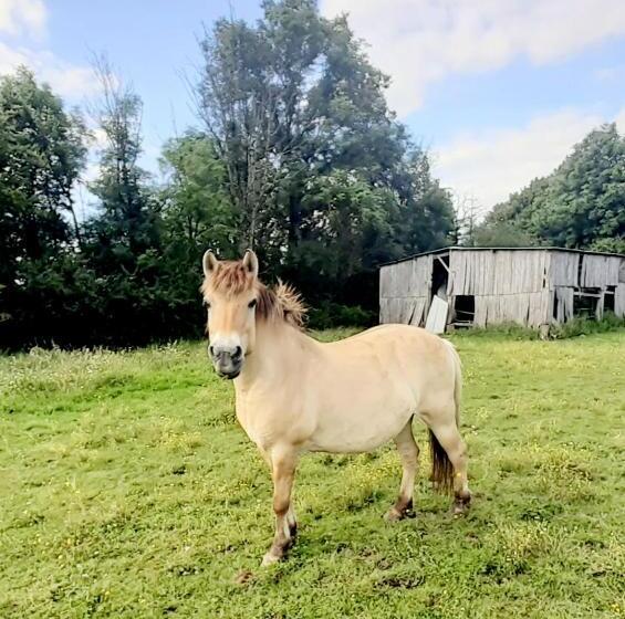 Bed and Breakfast La Roulotte Du Clos De L Isop