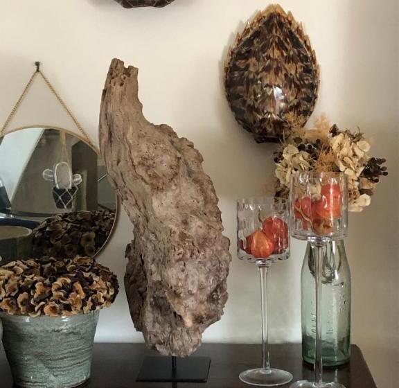 مبيت وإفطار La Thibautière