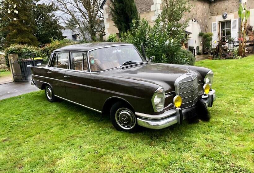 مبيت وإفطار La Thibautière