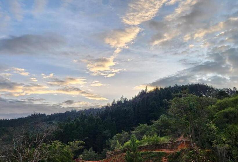 בית מלון כפרי Casa Luma Hostel