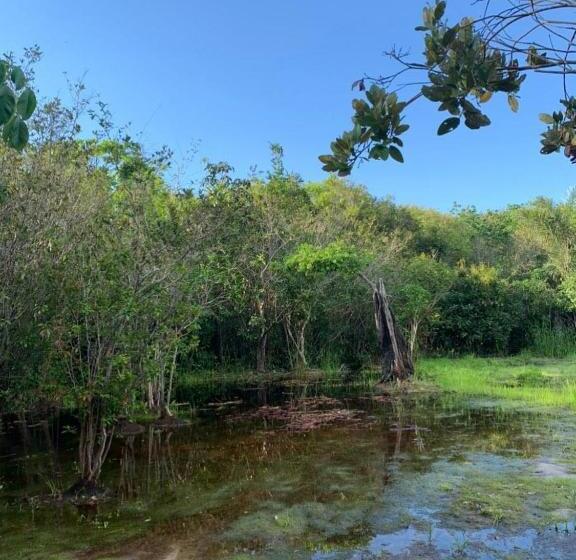 호텔 Chácara Tropical