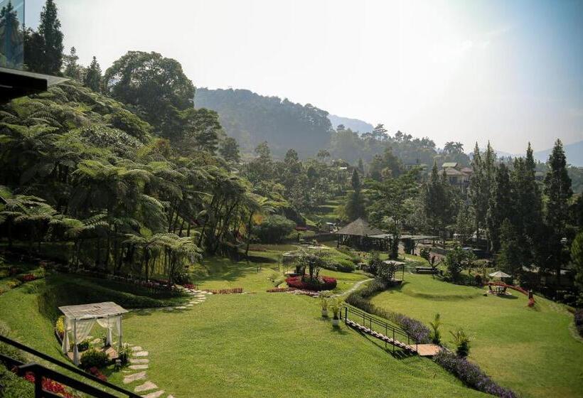 호텔 Damar Langit Resort