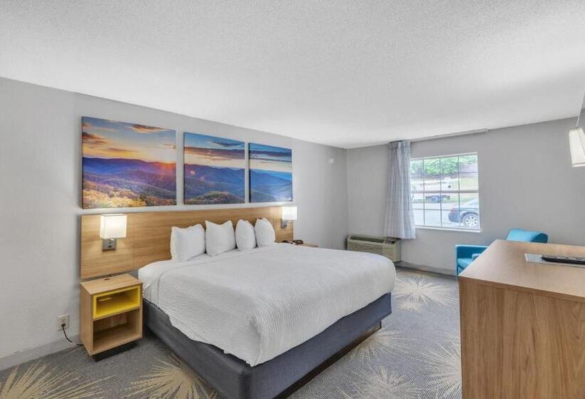 酒店 Days Inn I81 King Bed