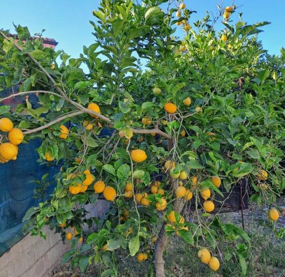 I Sette Ulivi Bed And Breakfast