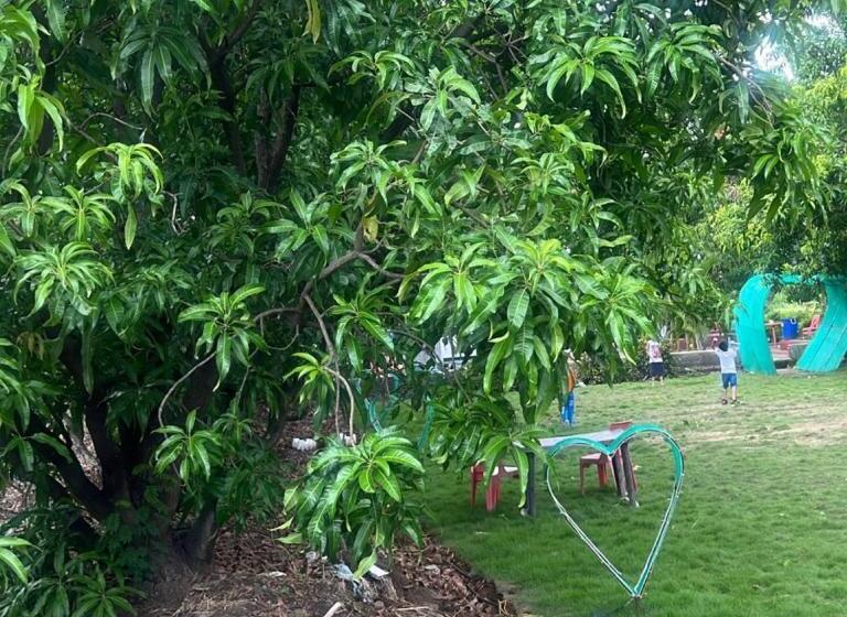 Nisarg Nirmaan Mukund Baug Agro Tourism And Resorts