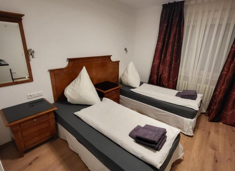 פנסיון Frankenthal City Apartment Mit Eigene Bad Und Kochmöglichkeit