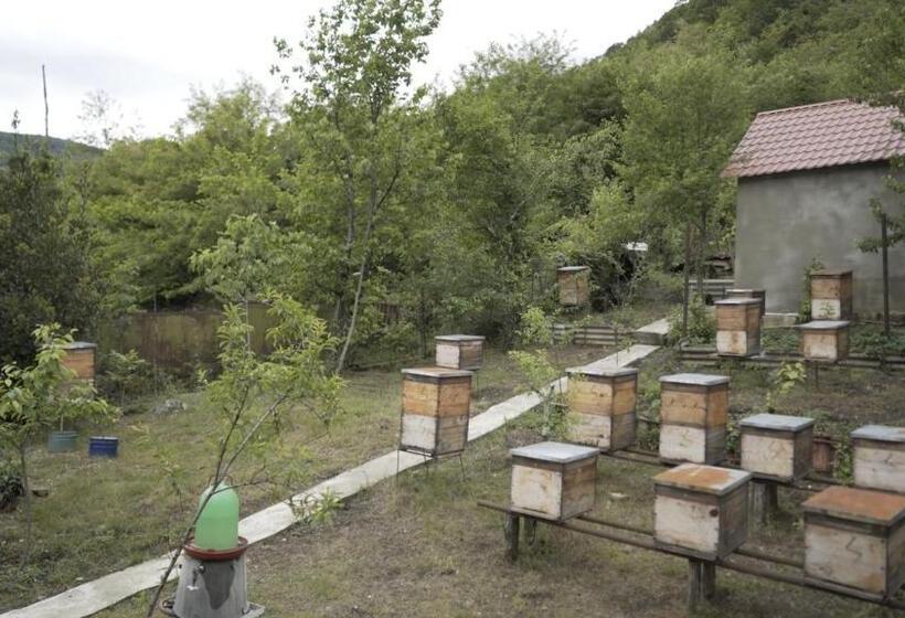 پانسیون Guest House Mekvena