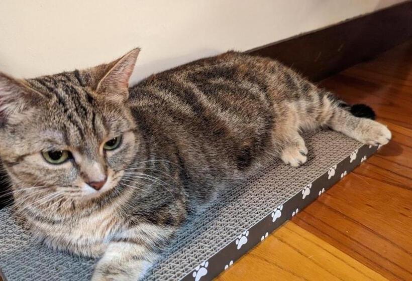 펜션 Guest House Tsugaru No Heccho   Vacation Stay 95721v