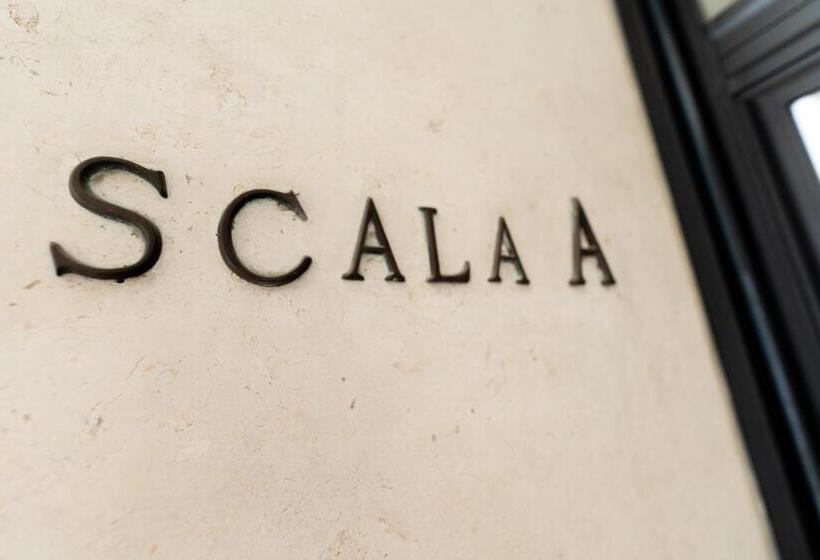 פנסיון Near Vatican, Irnerio 47 Guest House