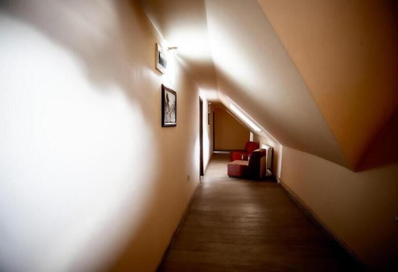 펜션 Vila Panseluța