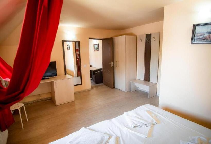 펜션 Vila Panseluța