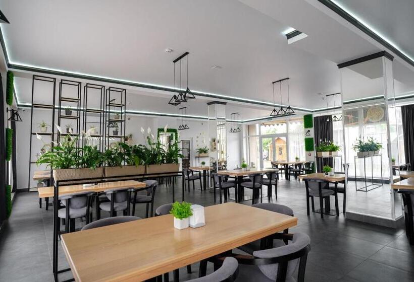 Hostel Edelweiss солотвино