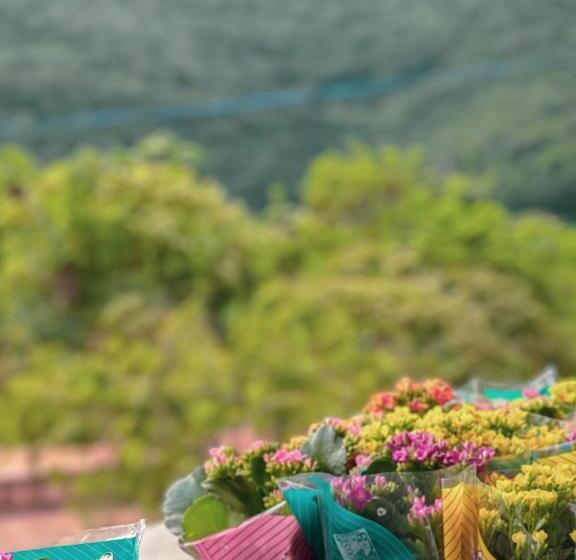 旅馆 Pousada Canto Do Cedro