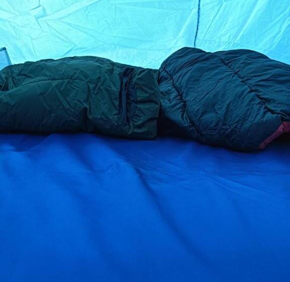 Bed and Breakfast Adhyatm Plus Adventure Camping