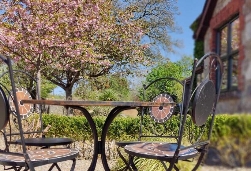 مبيت وإفطار Carney House