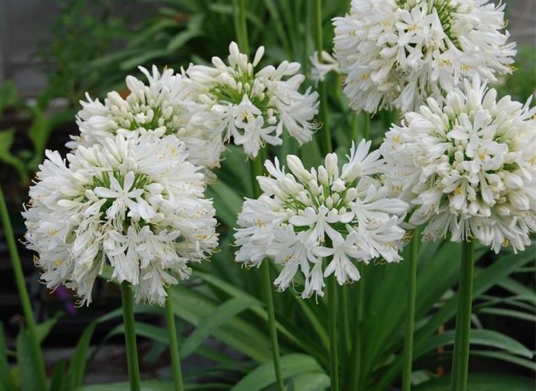 Bed and Breakfast Chambre D Hôtes Indépendante Les Agaphantes