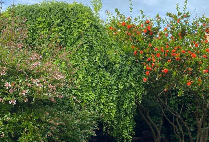 Bed and Breakfast Chambre D Hôtes Indépendante Les Agaphantes