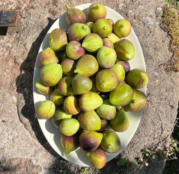 민박 Le Manoir De Jasmine