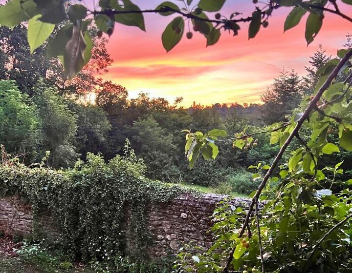 민박 Le Manoir De Jasmine