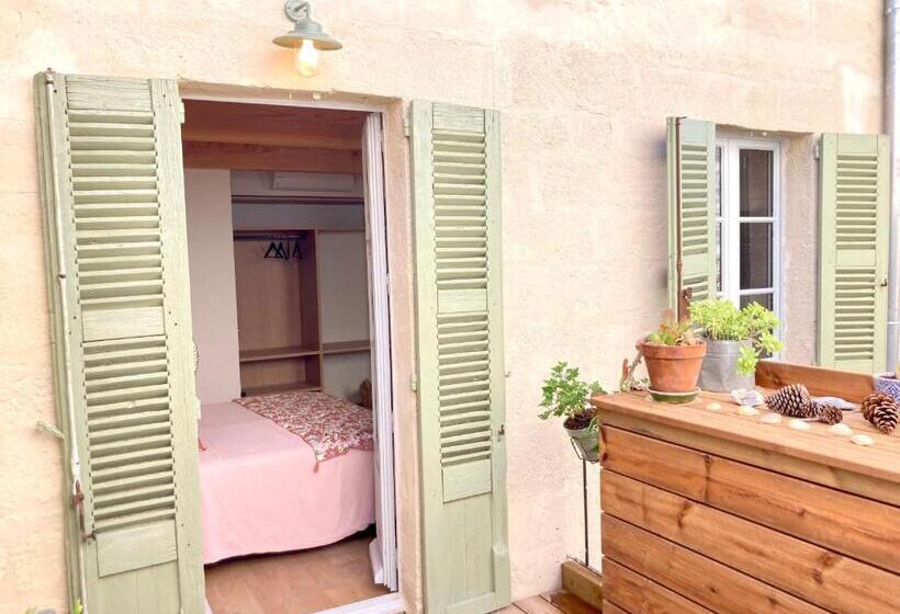 تختخواب و صبحانه Le Petit Avignon   Chambres & Appartement à Deux Pas Du Pont D Avignon Et Du Palais Des Papes