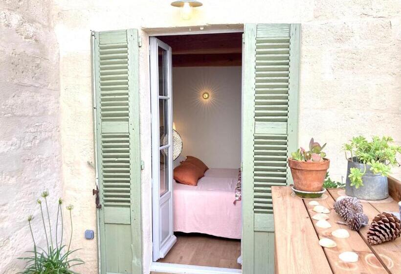 تختخواب و صبحانه Le Petit Avignon   Chambres & Appartement à Deux Pas Du Pont D Avignon Et Du Palais Des Papes