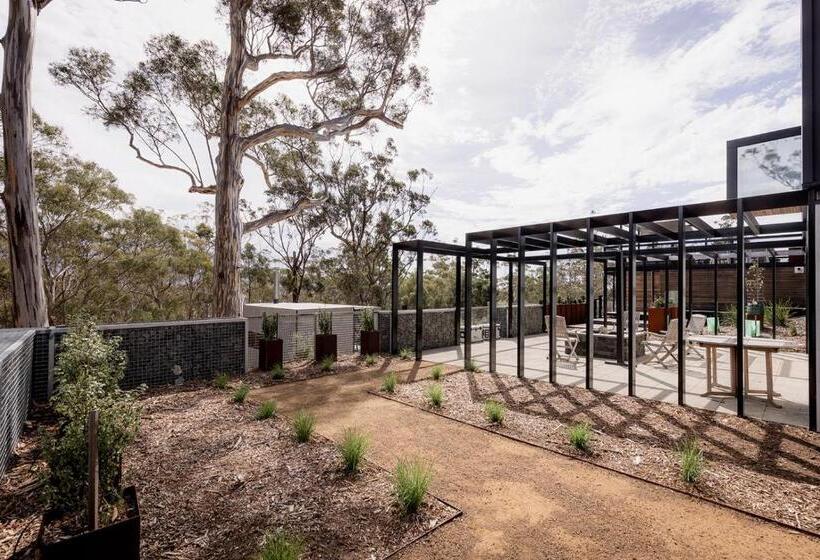 Boxwood Mount Nelson, Suite 01b