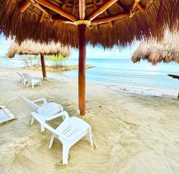 Espectaculares Cabañas Y Habitaciones Frente Al Mar