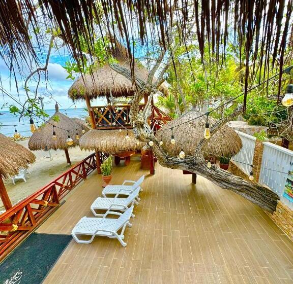 Espectaculares Cabañas Y Habitaciones Frente Al Mar