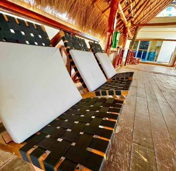 Espectaculares Cabañas Y Habitaciones Frente Al Mar