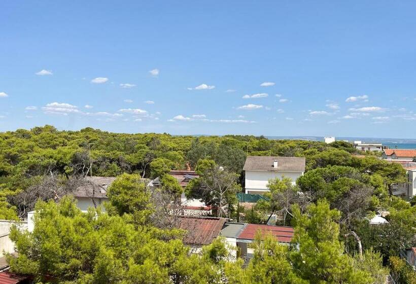 Ex Blank Hotel   Trilocale Fronte Mare