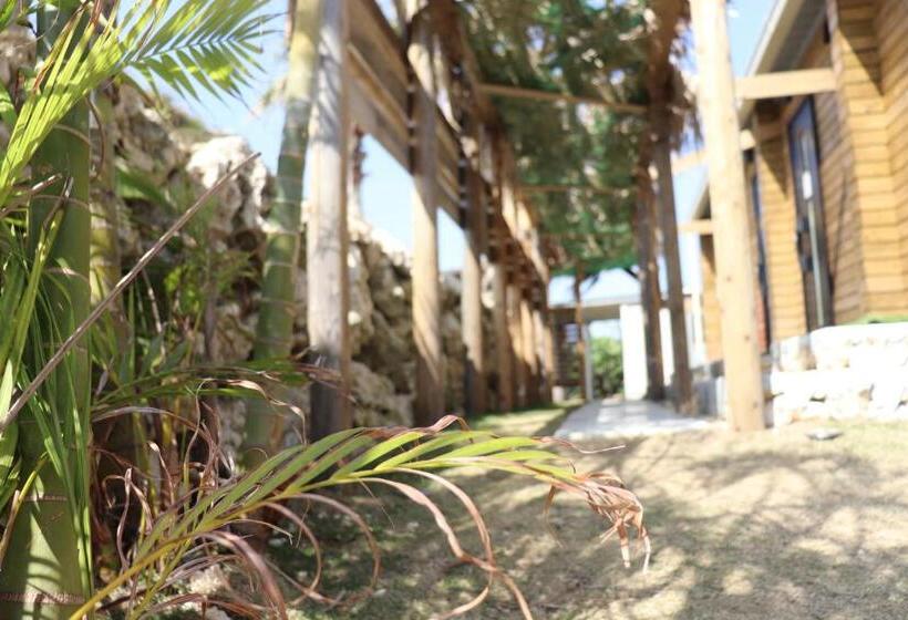 Hotel ログインタラソ