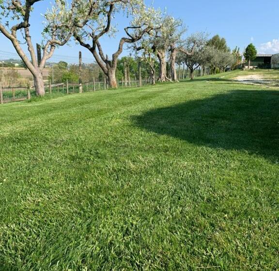 Отель Agriturismo La Collinetta