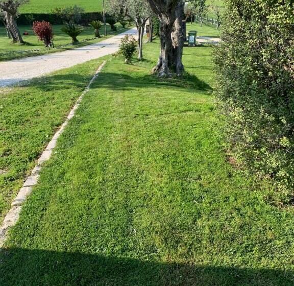 Отель Agriturismo La Collinetta