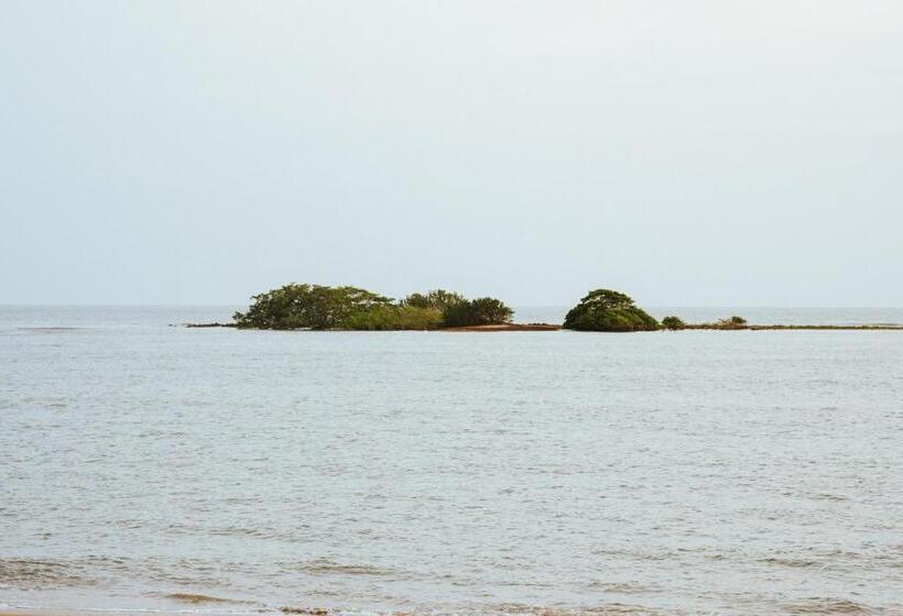 ホテル Koloa Concept