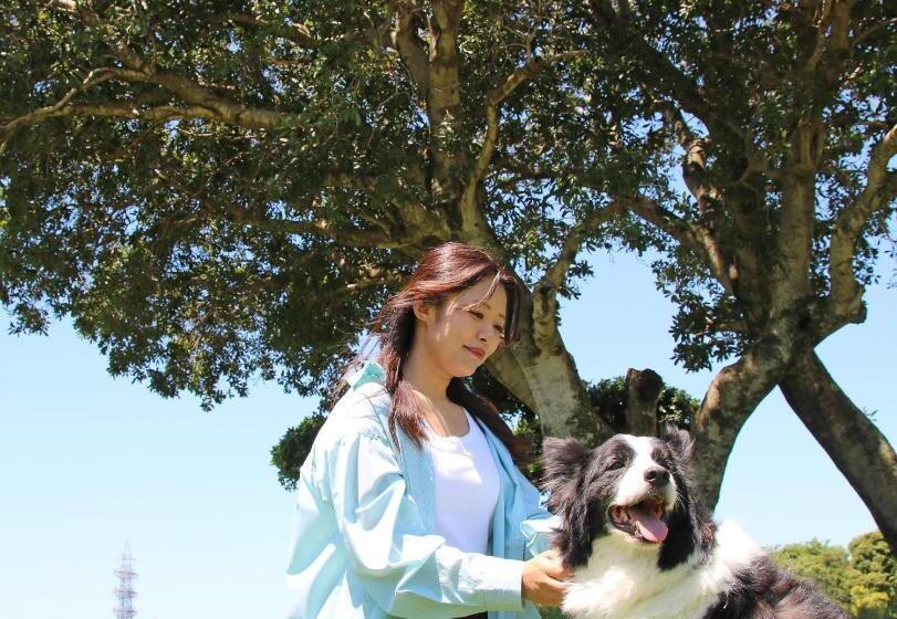 בית מלון כפרי Nanki Shirahama Dog Paradise