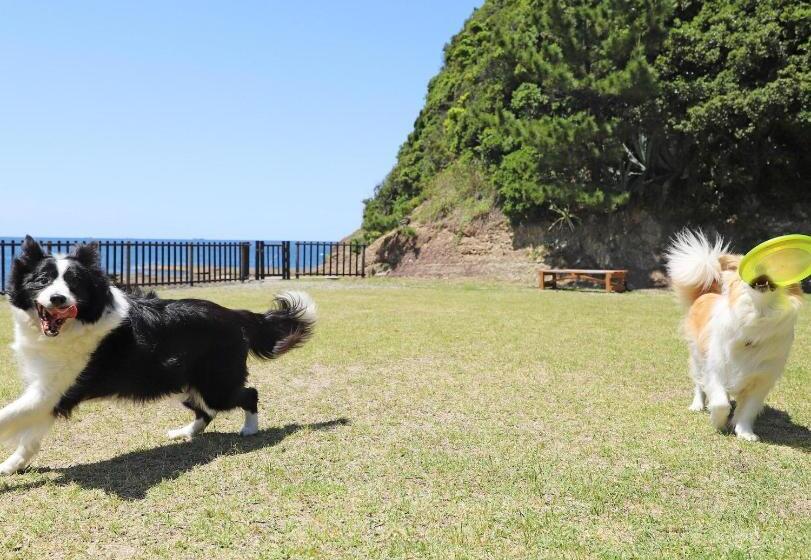 בית מלון כפרי Nanki Shirahama Dog Paradise