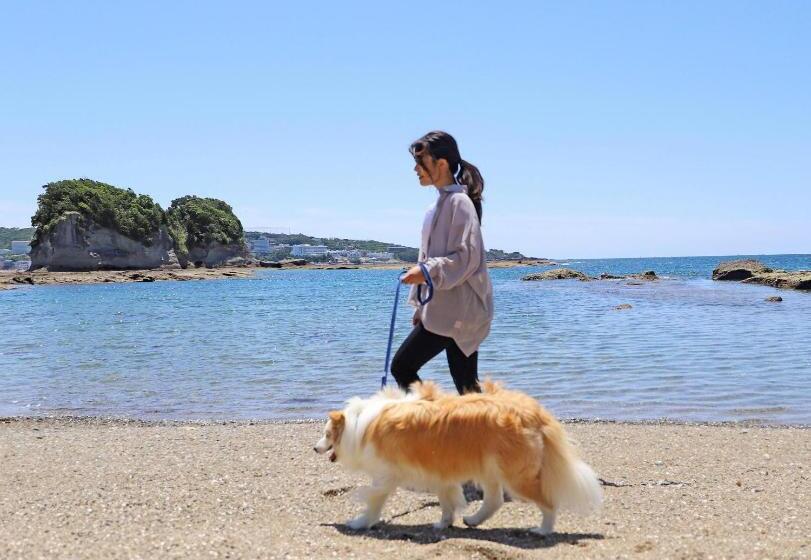 בית מלון כפרי Nanki Shirahama Dog Paradise