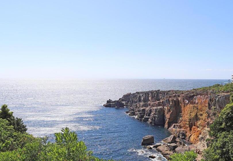 בית מלון כפרי Nanki Shirahama Dog Paradise