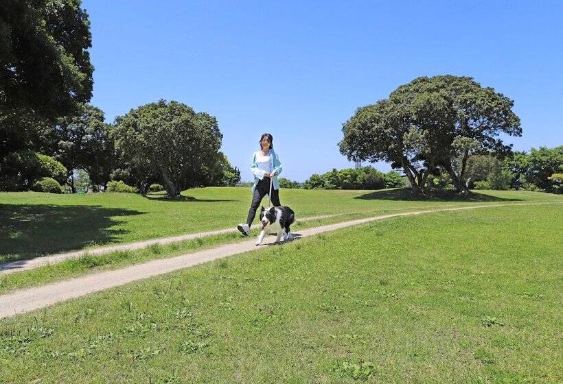בית מלון כפרי Nanki Shirahama Dog Paradise